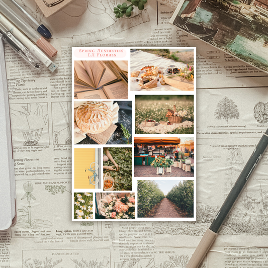 Spring Aesthetic Photos Sticker Sheet